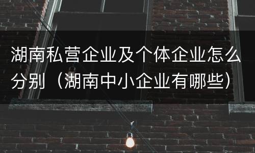 湖南私营企业及个体企业怎么分别（湖南中小企业有哪些）