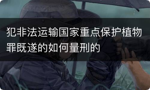 犯非法运输国家重点保护植物罪既遂的如何量刑的