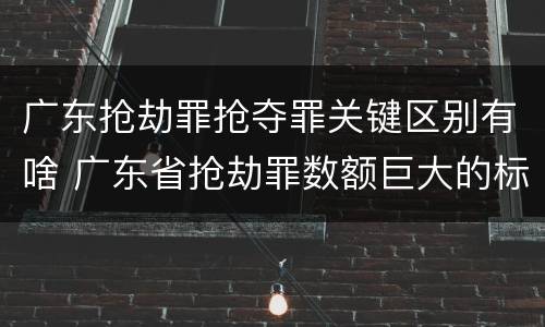 广东抢劫罪抢夺罪关键区别有啥 广东省抢劫罪数额巨大的标准