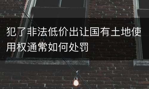 犯了非法低价出让国有土地使用权通常如何处罚