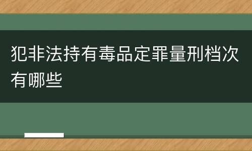 犯非法持有毒品定罪量刑档次有哪些