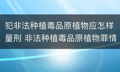 犯非法种植毒品原植物应怎样量刑 非法种植毒品原植物罪情节严重的三种情形