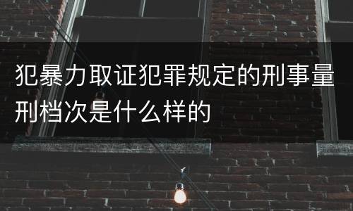 犯暴力取证犯罪规定的刑事量刑档次是什么样的