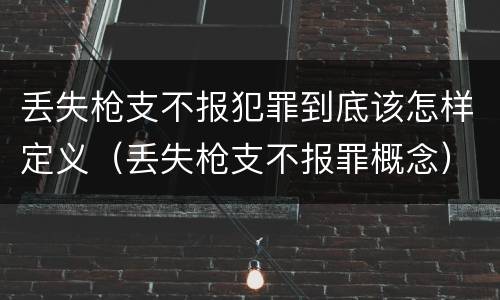 丢失枪支不报犯罪到底该怎样定义（丢失枪支不报罪概念）