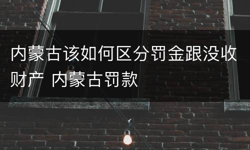 内蒙古该如何区分罚金跟没收财产 内蒙古罚款