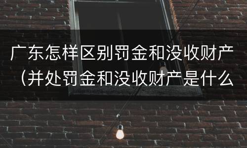 广东怎样区别罚金和没收财产（并处罚金和没收财产是什么意思）