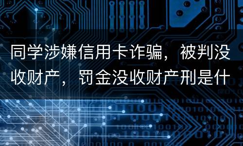 同学涉嫌信用卡诈骗，被判没收财产，罚金没收财产刑是什么