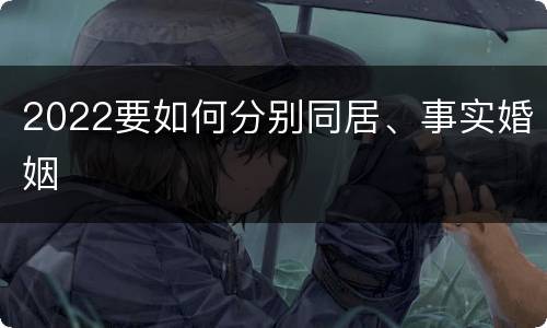 2022要如何分别同居、事实婚姻