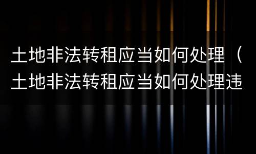 土地非法转租应当如何处理（土地非法转租应当如何处理违章）