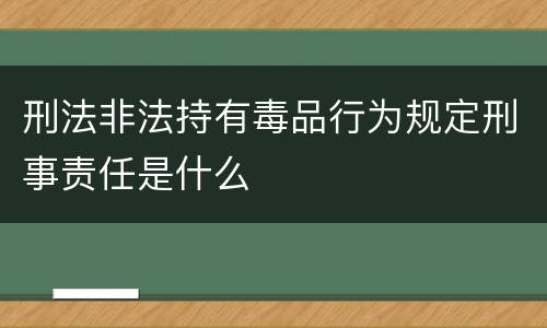 刑法非法持有毒品行为规定刑事责任是什么