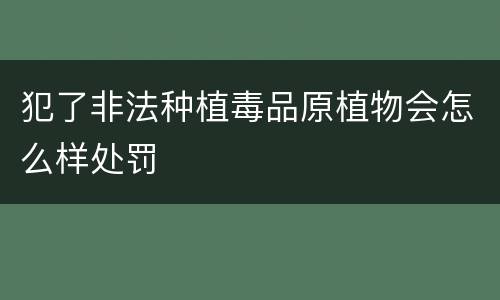 犯了非法种植毒品原植物会怎么样处罚