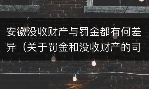 安徽没收财产与罚金都有何差异（关于罚金和没收财产的司法解释）