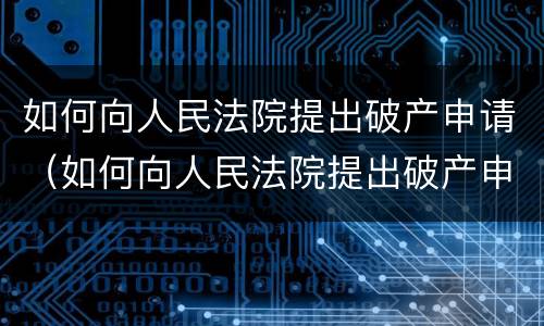 如何向人民法院提出破产申请（如何向人民法院提出破产申请赔偿）