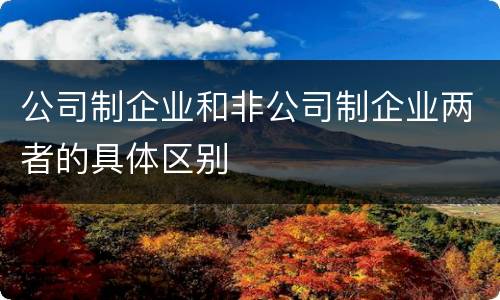 公司制企业和非公司制企业两者的具体区别