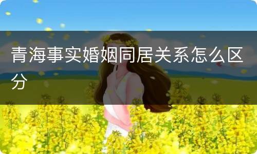 青海事实婚姻同居关系怎么区分