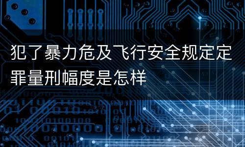 犯了暴力危及飞行安全规定定罪量刑幅度是怎样