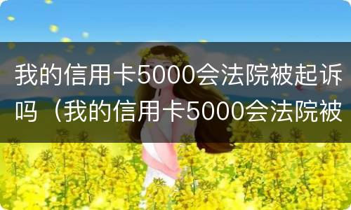 我的信用卡5000会法院被起诉吗（我的信用卡5000会法院被起诉吗怎么办）