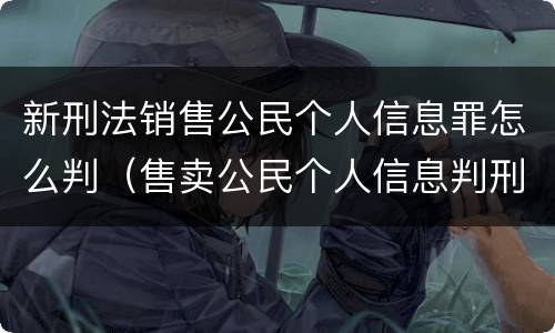 新刑法销售公民个人信息罪怎么判（售卖公民个人信息判刑案例）