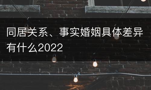 同居关系、事实婚姻具体差异有什么2022