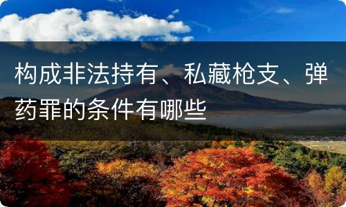 构成非法持有、私藏枪支、弹药罪的条件有哪些