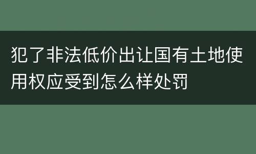 犯了非法低价出让国有土地使用权应受到怎么样处罚