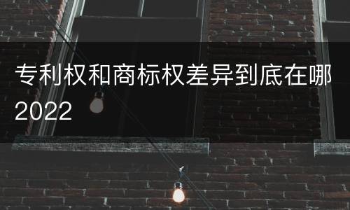 专利权和商标权差异到底在哪2022