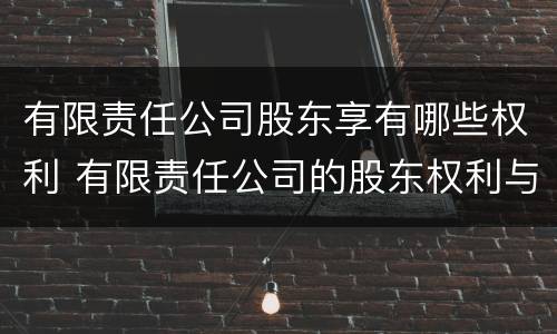 有限责任公司股东享有哪些权利 有限责任公司的股东权利与义务