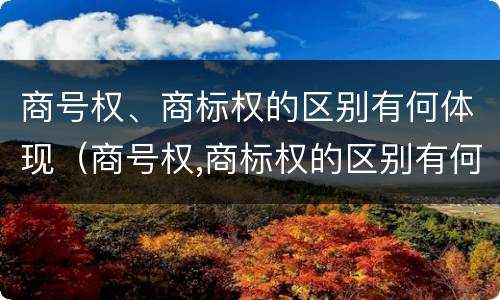 商号权、商标权的区别有何体现（商号权,商标权的区别有何体现呢）