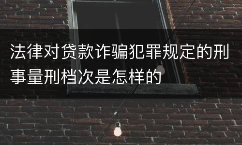 法律对贷款诈骗犯罪规定的刑事量刑档次是怎样的