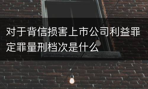 对于背信损害上市公司利益罪定罪量刑档次是什么