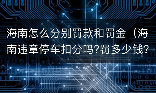 海南怎么分别罚款和罚金（海南违章停车扣分吗?罚多少钱?）