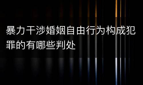 暴力干涉婚姻自由行为构成犯罪的有哪些判处