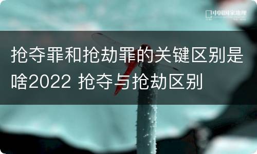 抢夺罪和抢劫罪的关键区别是啥2022 抢夺与抢劫区别