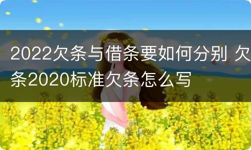 2022欠条与借条要如何分别 欠条2020标准欠条怎么写