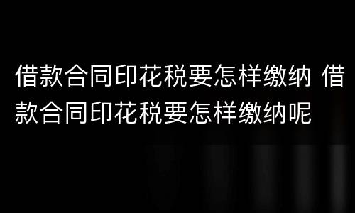 借款合同印花税要怎样缴纳 借款合同印花税要怎样缴纳呢