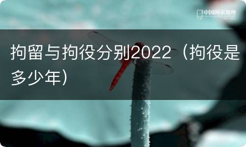 拘留与拘役分别2022（拘役是多少年）