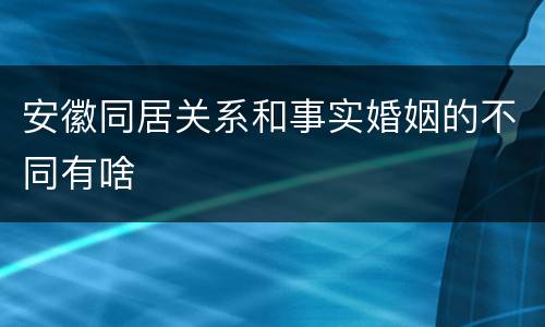 安徽同居关系和事实婚姻的不同有啥