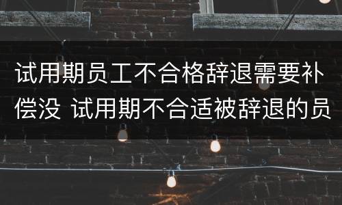 试用期员工不合格辞退需要补偿没 试用期不合适被辞退的员工要求赔偿吗