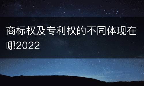 商标权及专利权的不同体现在哪2022