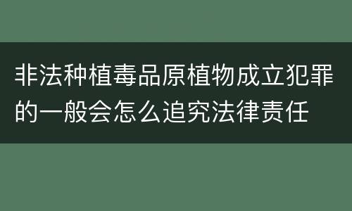 非法种植毒品原植物成立犯罪的一般会怎么追究法律责任