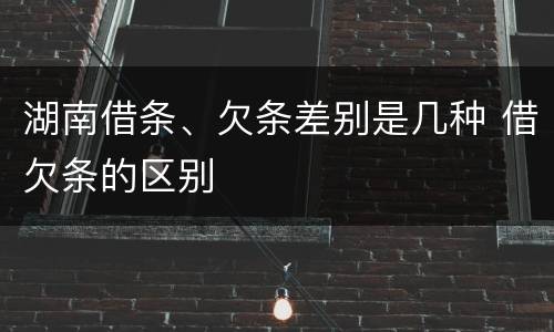 湖南借条、欠条差别是几种 借欠条的区别