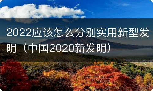 2022应该怎么分别实用新型发明（中国2020新发明）