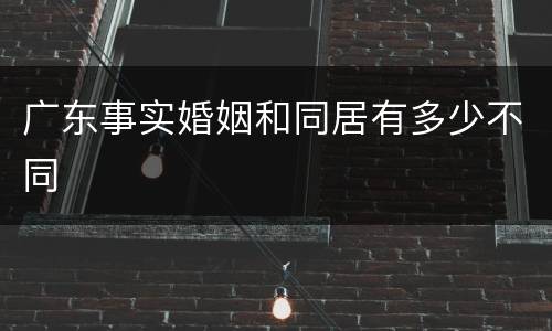 广东事实婚姻和同居有多少不同