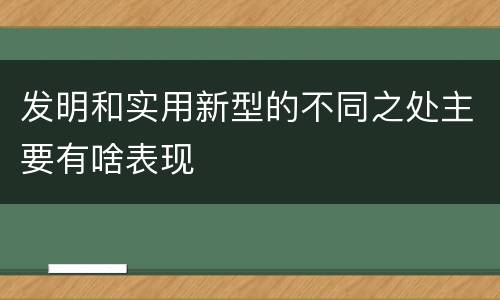 发明和实用新型的不同之处主要有啥表现