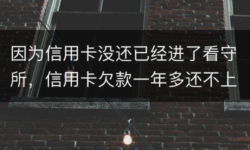 因为信用卡没还已经进了看守所，信用卡欠款一年多还不上怎么办