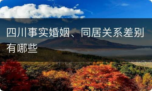 四川事实婚姻、同居关系差别有哪些