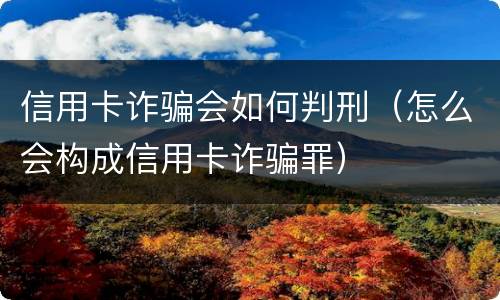 信用卡诈骗会如何判刑（怎么会构成信用卡诈骗罪）