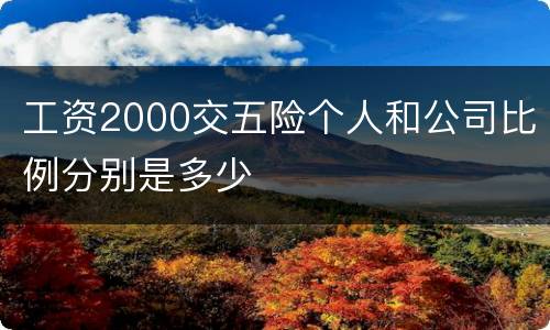 工资2000交五险个人和公司比例分别是多少