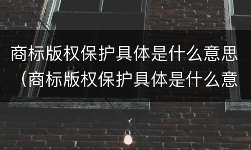 商标版权保护具体是什么意思（商标版权保护具体是什么意思啊）