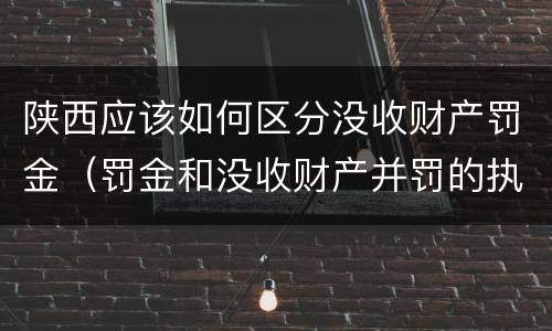 陕西应该如何区分没收财产罚金（罚金和没收财产并罚的执行顺序）